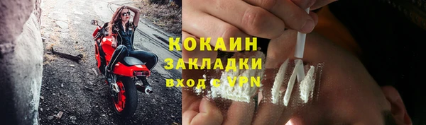 гидра Коряжма