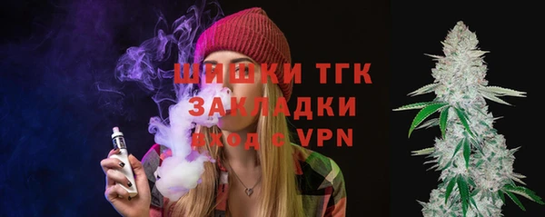 ПСИЛОЦИБИНОВЫЕ ГРИБЫ Козловка