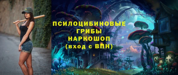 ПСИЛОЦИБИНОВЫЕ ГРИБЫ Козловка