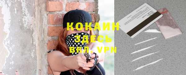 ПСИЛОЦИБИНОВЫЕ ГРИБЫ Козловка