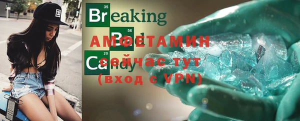 ПСИЛОЦИБИНОВЫЕ ГРИБЫ Козловка