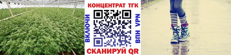 ТГК концентрат  Купить где  Асбест 